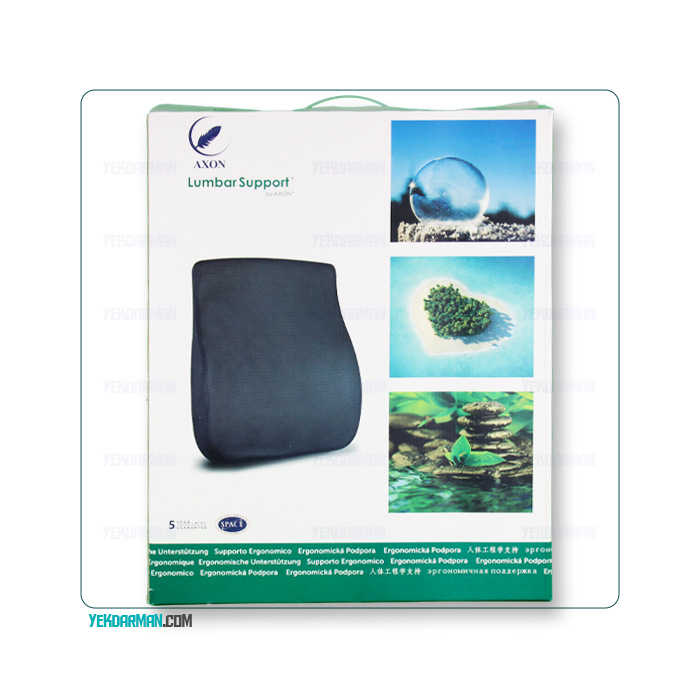 پشتی محافظ اکسون