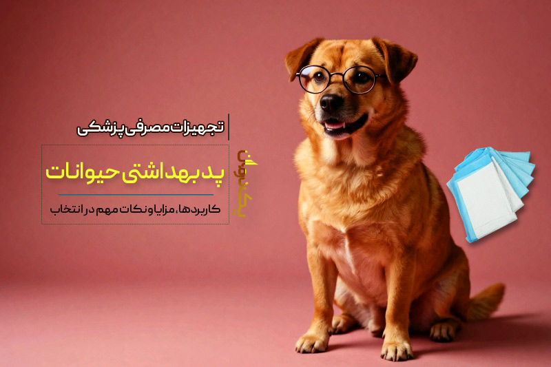 پد بهداشتی حیوانات خانگی